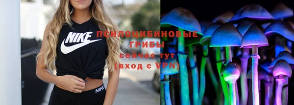 индика Орехово-Зуево