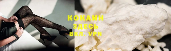 индика Орехово-Зуево