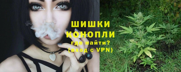 амф Бердск