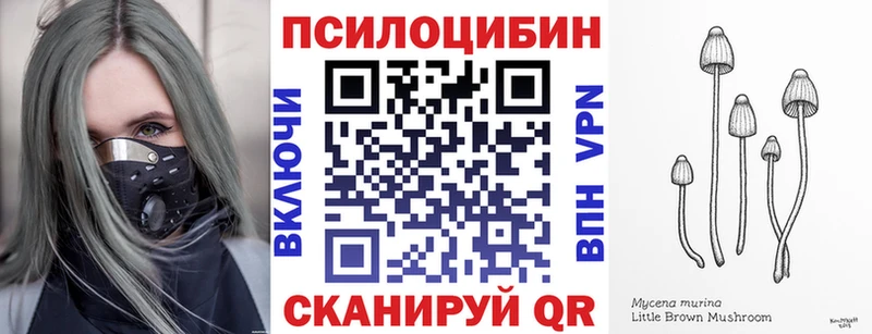 Купить  Поворино  Галлюциногенные грибы прущие грибы 